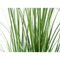 Monarch Artificial plant - 47
