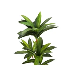 Monarch Artificial plant - 51"h / indoor dracaena in a 5" pot Green Hot