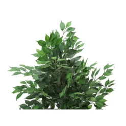 Monarch Artificial plant - 58"h / indoor ficus tree in a 6" pot Green Best