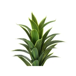 Monarch Artificial plant - 47