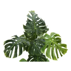 Monarch Artificial plant - 55"h / indoor monstera in a 6" pot Green Discount