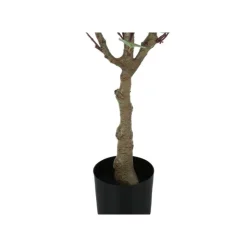 Monarch Artificial plant - 46"h / indoor eucalyptus tree/ 5" pot Green