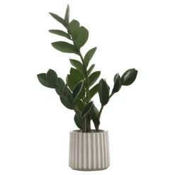 Monarch Artificial plant - 20"h / indoor zz in a 5" cement pot Green Clearance