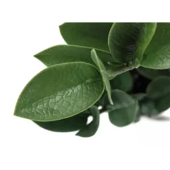 Monarch Artificial plant - 20