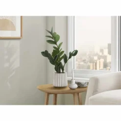 Monarch Artificial plant - 20