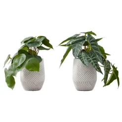 Monarch Artificial plant - 2pcs / 8"h alocasia / 5" cement pot Green Online