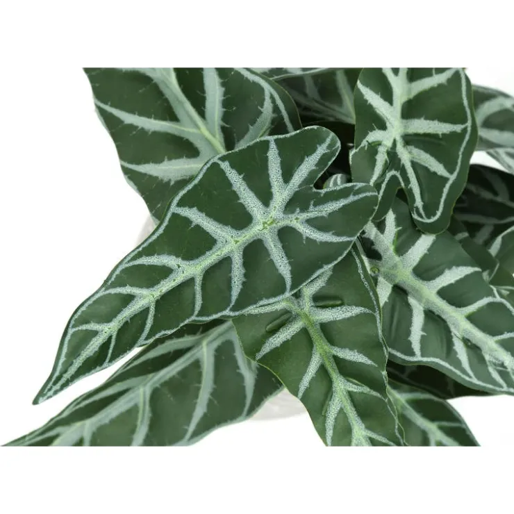 Monarch Artificial plant - 2pcs / 8"h alocasia / 5" cement pot Green Online