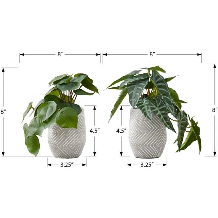 Monarch Artificial plant - 2pcs / 8"h alocasia / 5" cement pot Green Online