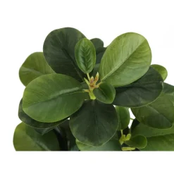 Monarch Artificial plant - 2pcs / 14"h ficus elastica in 4" pot Green New
