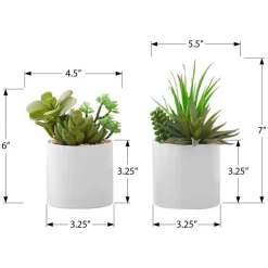 Monarch Artificial plant - 2pcs / 7"h succulent in 3" ceramic pot Green Sale