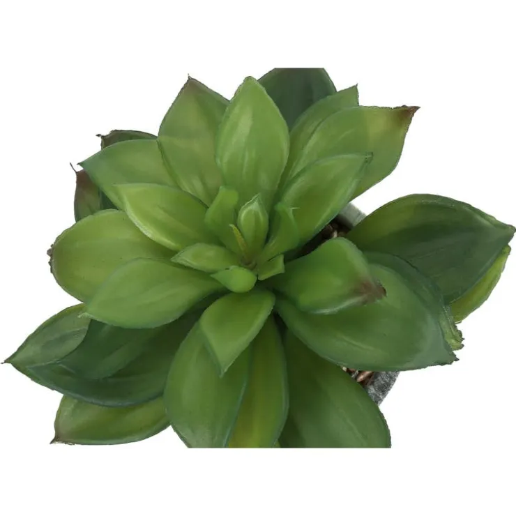 Monarch Artificial plant - 2pcs / 7"h succulent in 4" cement pot Green Hot