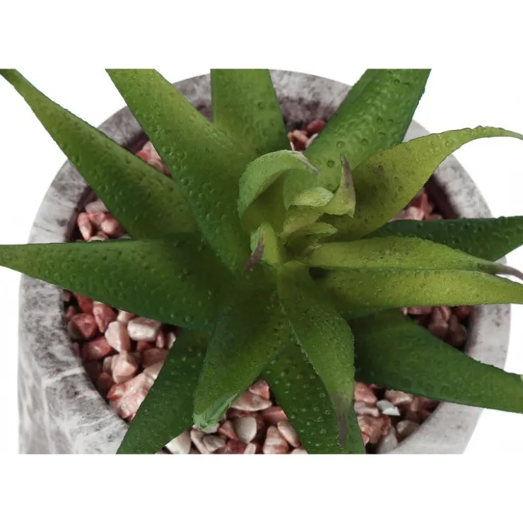Monarch Artificial plant - 2pcs / 7"h succulent in 4" cement pot Green Hot