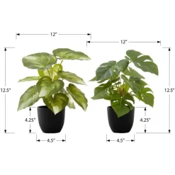 Monarch Artificial plant - 2pcs / 13"h monstera/calathea/ 4" pot Green