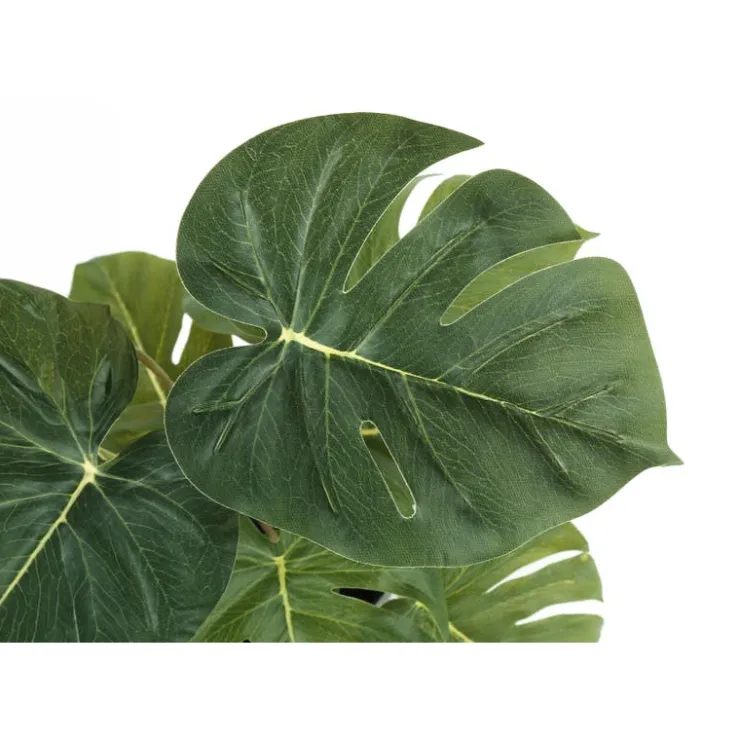 Monarch Artificial plant - 2pcs / 13"h monstera/calathea/ 4" pot Green