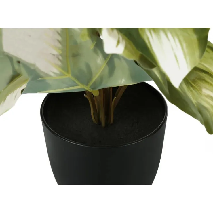 Monarch Artificial plant - 2pcs / 13"h monstera/calathea/ 4" pot Green