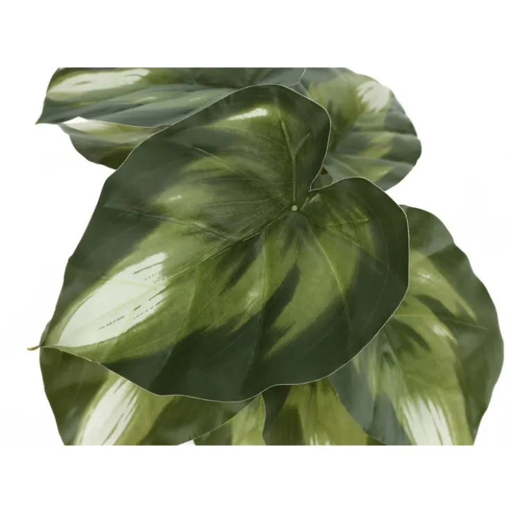 Monarch Artificial plant - 2pcs / 13"h monstera/calathea/ 4" pot Green