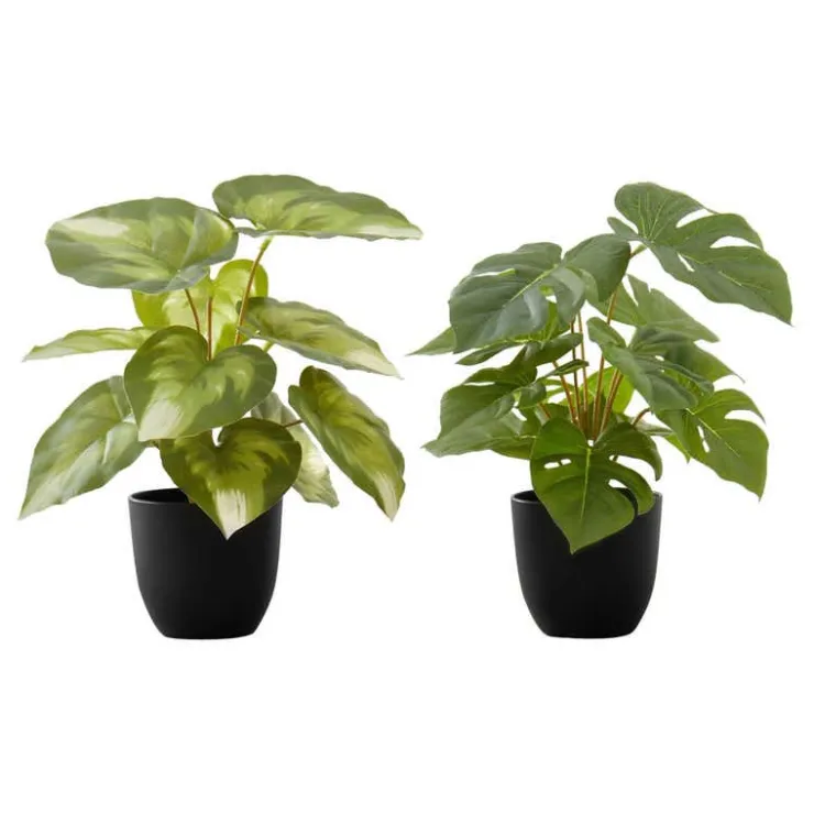 Monarch Artificial plant - 2pcs / 13"h monstera/calathea/ 4" pot Green