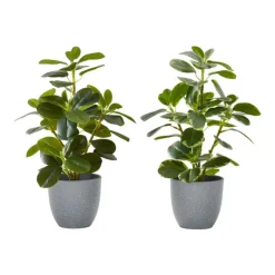 Monarch Artificial Plant 14" (set of 2) Green Best
