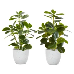 Monarch Artificial Plant 14" (set of 2) Green