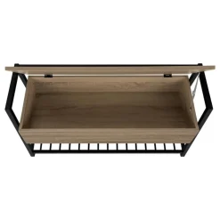 Monarch Bench - shoe rack / flip top storage - 42