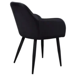Monarch Chairs with Arms (Set of 2) - - Black Hot
