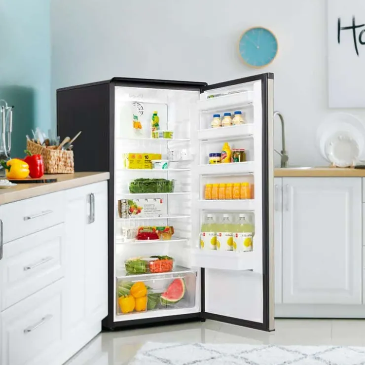 Danby 24 In 11 Cu ft Refrigerator All refrigerator - DAR110A1BSLDD Stainless Clearance
