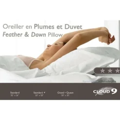 Feather and Down Pillow White Outlet