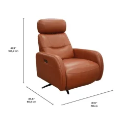 HTL Genuine Leather Power Swivel Recliner with Adjustable Headrest – TAN Clearance