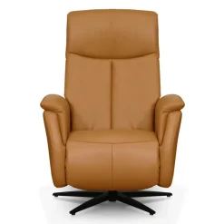 Genuine Leather Swivel Power Recliner - Tan Best