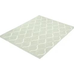 Indoor or Outdoor Rug - 5 x 7 Mint Green Hot