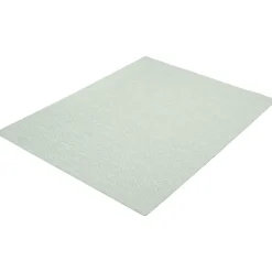 Indoor or Outdoor Rug - 7 x 10 Mint Green Best