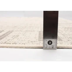 Indoor or Outdoor Rug - 4 x 6 Ivory