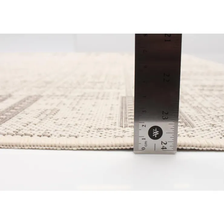 Indoor or Outdoor Rug - 4 x 6 Ivory