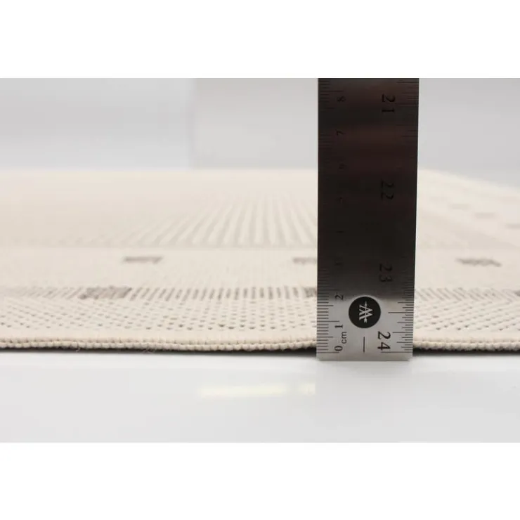 Indoor or Outdoor Rug - 4 x 6 Cream