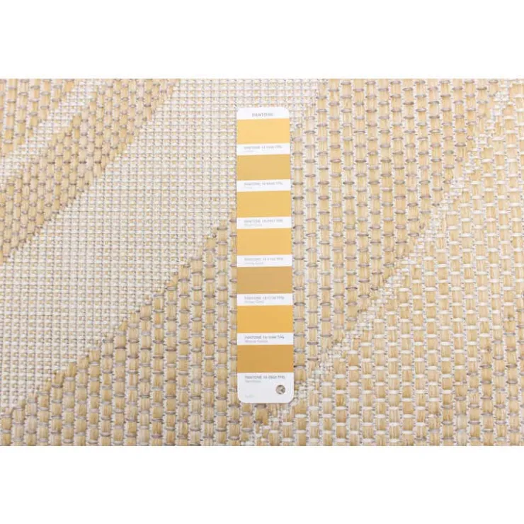 Indoor or Outdoor Rug - 5 x 7 Gold Best