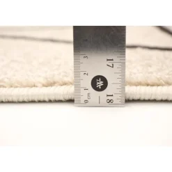 Indoor Rug - 5 x 7 Ivory/Brown
