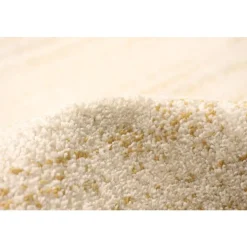 Indoor Rug - 5 x 7 Ivory/Red Clearance