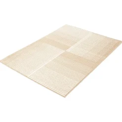 Indoor Rug - 5 x 7 Beige/White New