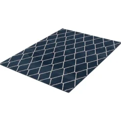 Indoor Rug - 8 x 10 Navy/White Clearance