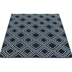 Indoor Rug - 5 x 7 Navy/White New