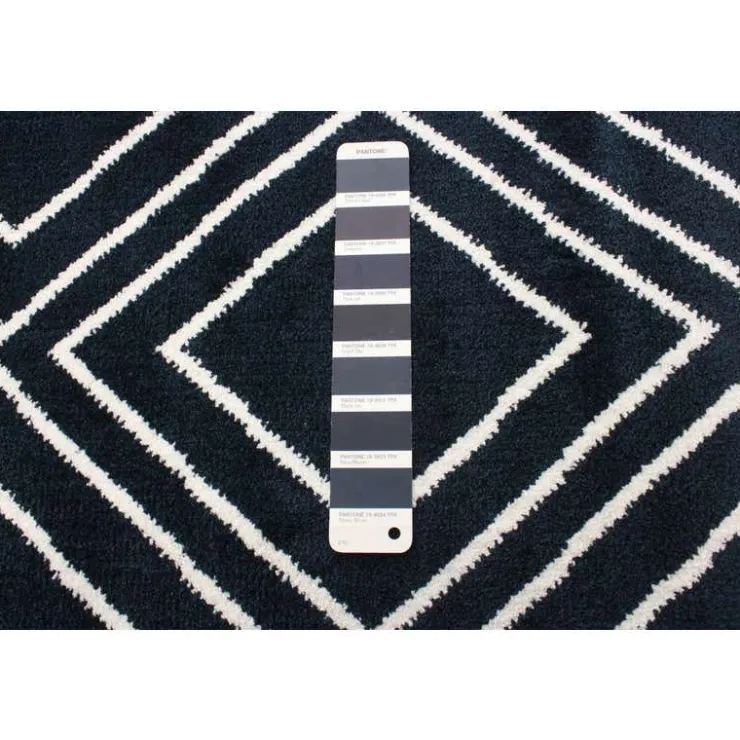 Indoor Rug - 5 x 7 Navy/White New