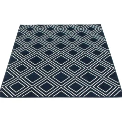 Indoor Rug - 8 x 10 Navy/White Hot