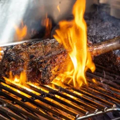 PIT BOSS Wood Pellet Grill and Smoker Sale