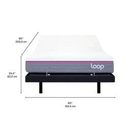 Queen Electric Bed with Loop Mattress (60