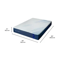 Dreamstar Queen Medium-Firm Memory Foam Mattress-in-a-Box - 60" Smooth Top Blue/White Best