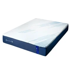 Dreamstar Queen Medium-Firm Memory Foam Mattress-in-a-Box - 60