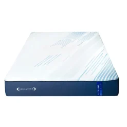 Dreamstar Queen Medium-Firm Memory Foam Mattress-in-a-Box - 60