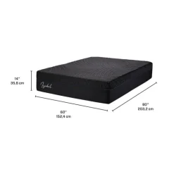 Dreamstar Queen Medium-Firm Memory Foam Mattress-in-a-Box - 60