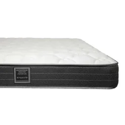 Dreamstar Queen Medium-FirmMattress with Springs - 60