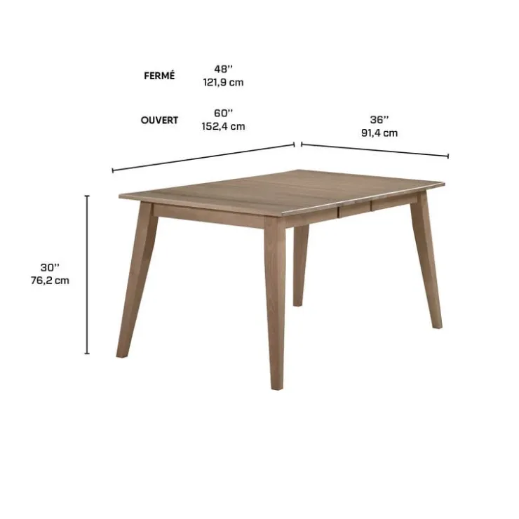 Arboit Poitras Rectangular Extendable Solid Wood Dining Table 48" to 60" - Grey Best